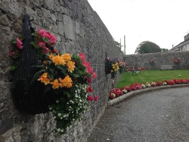 Ashmore House Cashel Dış mekan fotoğraf